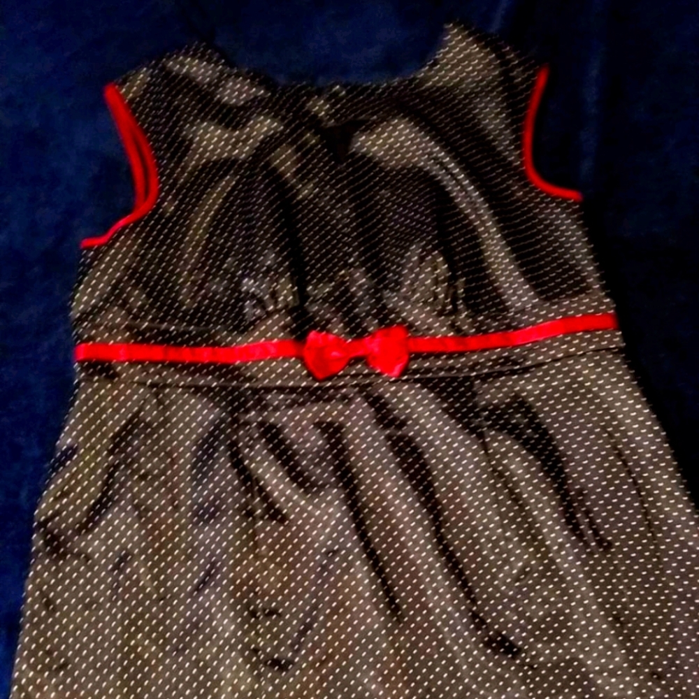 Vintage Retro Chic Torrid dress